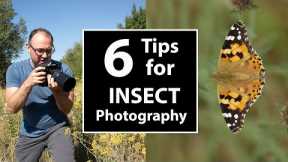 6 TIPS: How to Photograph INSECTS  in the Field - APPROACH, APERTURE, FOCUS, DOF