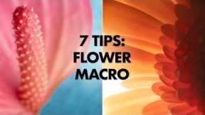 7 Tips for Flower Macro Photography