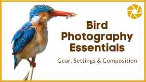 Bird Photography Tutorial | Gear, Settings and Composition Tips