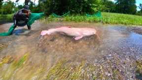 amazing fishing! a lots of strange Redfish on the road when flood water catch by fishing tools