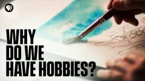 Why Do We Have Hobbies?
