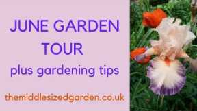 June garden tour plus June gardening tips...
