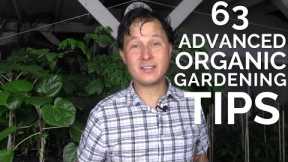 63 Advanced Organic Gardening Tips to Have the Best Vegetable Garden