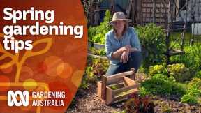 How to get the most success from your spring gardening | Gardening 101 | Gardening Australia