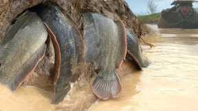 Best Unique Lucky Fishing! fish in hole river water Catch by hand near the road