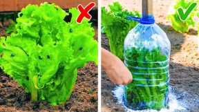 Simple Tips For Growing Plants And Vegetables || Useful Gardening Hacks by 5-Minute Crafts VS!