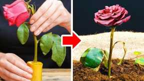 35 Helpful Gardening Tips For Plant Lovers || Easy Ways to Grow And Collect Food In Your Garden!