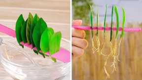 30 Hacks To Grow Your Plants 🌱 || Smart Gardening Tips, Growing Mediums For Plants