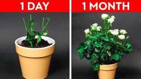 32 Easy Gardening Hacks For Beginners || Plants Growing Tips by 5-Minute DECOR!