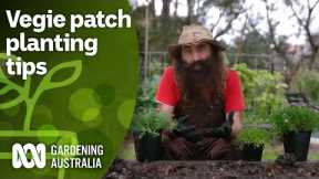 How to protect and pollinate your vegie patch | Gardening Hacks | Gardening Australia
