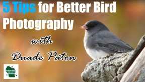 5 Tips for Better Bird Photography (with Duade Paton)