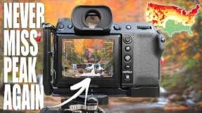 Easiest Way to Improve Your Fall Photography! (no new gear required)