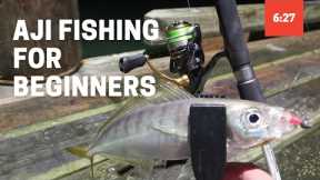 Aji Fishing Tutorial for Beginners | Micro Softbaiting for Jack Mackerel