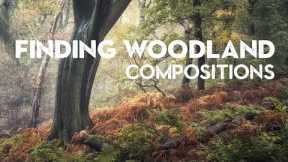 7 SIMPLE composition TIPS for WOODLAND PHOTOGRAPHY