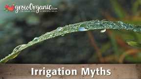 Organic Gardening Myths - Irrigation