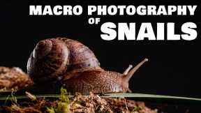 MACRO PHOTOGRAPHY: How to Photograph SNAILS - Tips and Tricks