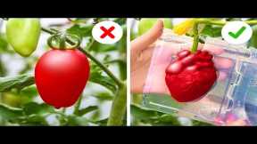Clever Plant Growing Hacks And Gardening Tips