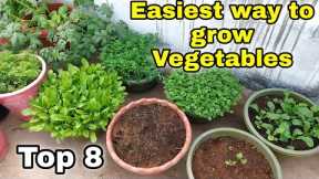 Easiest way to grow Top 8 Vegetables at Home/Garden | Small space gardening