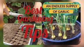 Easiest way to grow Top Plants at Home/Garden | Small Space Gardening | Best Gardening Tips