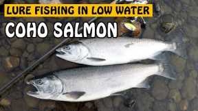 Lure Fishing for COHO SALMON in Low and Clear River! | Fishing with Rod