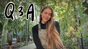 Answering Your Questions While Going About My Day! - Backyard Homesteading, Hobbies, & Life!