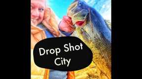 Drop-Shot for fall fishing... it works!