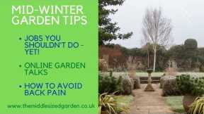 Mid-winter gardening tips & garden tour