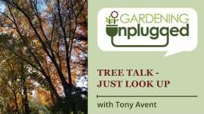 Gardening Unplugged - Tree Talk - Just Look Up, with Tony Avent