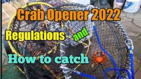 Crab Opener 2022: Regulations and how to catch crabs.