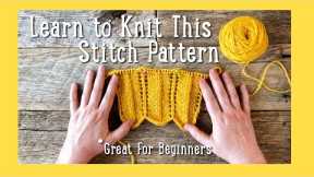 😻 Easy Knitting Pattern for Beginners | Learn to Knit 😻