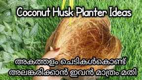 coconut husk planter ideas/gardening ideas for home/plant/gardening/diy planter ideas