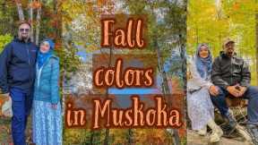 Enjoying Magical Fall in Muskoka | Fall in Canada | Pakistanis Enjoying Fall in Canada