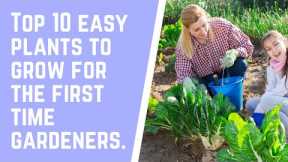 Top 10 easy plants-to-grow for the first-time gardeners.