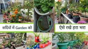 Winter Season 1/2 gardening | flowers/vegitables seeds | gardening ideas |fertilizer for home plants