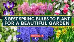 5 Best Spring Bulbs to Plant for a Beautiful Garden 🌷🌺 // Gardening Tips