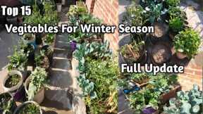 Top 15 Winter Vegitables Easy To Grow At Home|Home Gardening|Winter Vegitables Update|Terrace&Garden