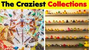 Odd Collections..