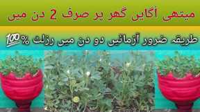 How to grow fenugreek from seeds/fenugreek grow in just 2 days at home/Grow methi/grow methi & Care