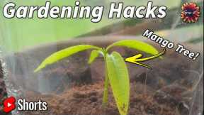 5 EASY Gardening Hacks In 1 Minute // #Gardening #Hacks #Ideas #Reuse