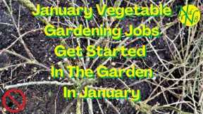 January Vegetable Gardening Jobs, 2023