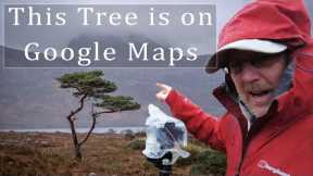 This Tree is on Google Maps, Scotland Vanlife Landscape Photography Tips Loch Maree and Loch Claire