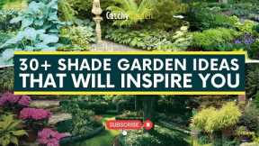 30+ Awesome Shade Garden Ideas That Will Inspire You 🌷🌳🌸 // Gardening Idea