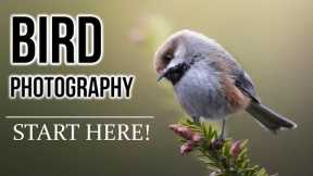 BIRD PHOTOGRAPHY 101: Beginners guide for settings, finding birds, tricks, equipment, and more!