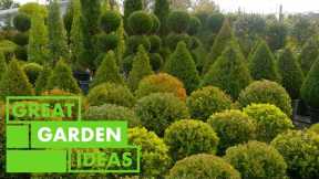 World of Topiary | GARDEN | Great Home Ideas