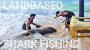 Kayaking Baits Out 2023 - Landbased Shark Fishing For Bronze Whalers - Shimano Tiagra 80w - Big Fish