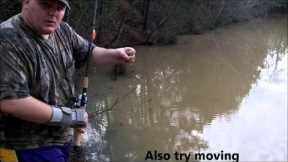 How to start fishing