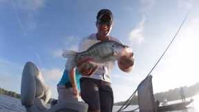 Fishing Submerged Timber For Crappie