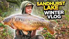 Carp Fishing Winter Vlog at Sandhurst Lake! Yately UK