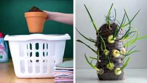 14 Clever Plant Hacks That Will Really Grow on You! Blossom