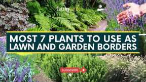 Most 7 Plants to Use as Lawn and Garden Borders 🌷🌺 // Gardening Tips